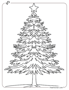 A evergreen tree with a star on top