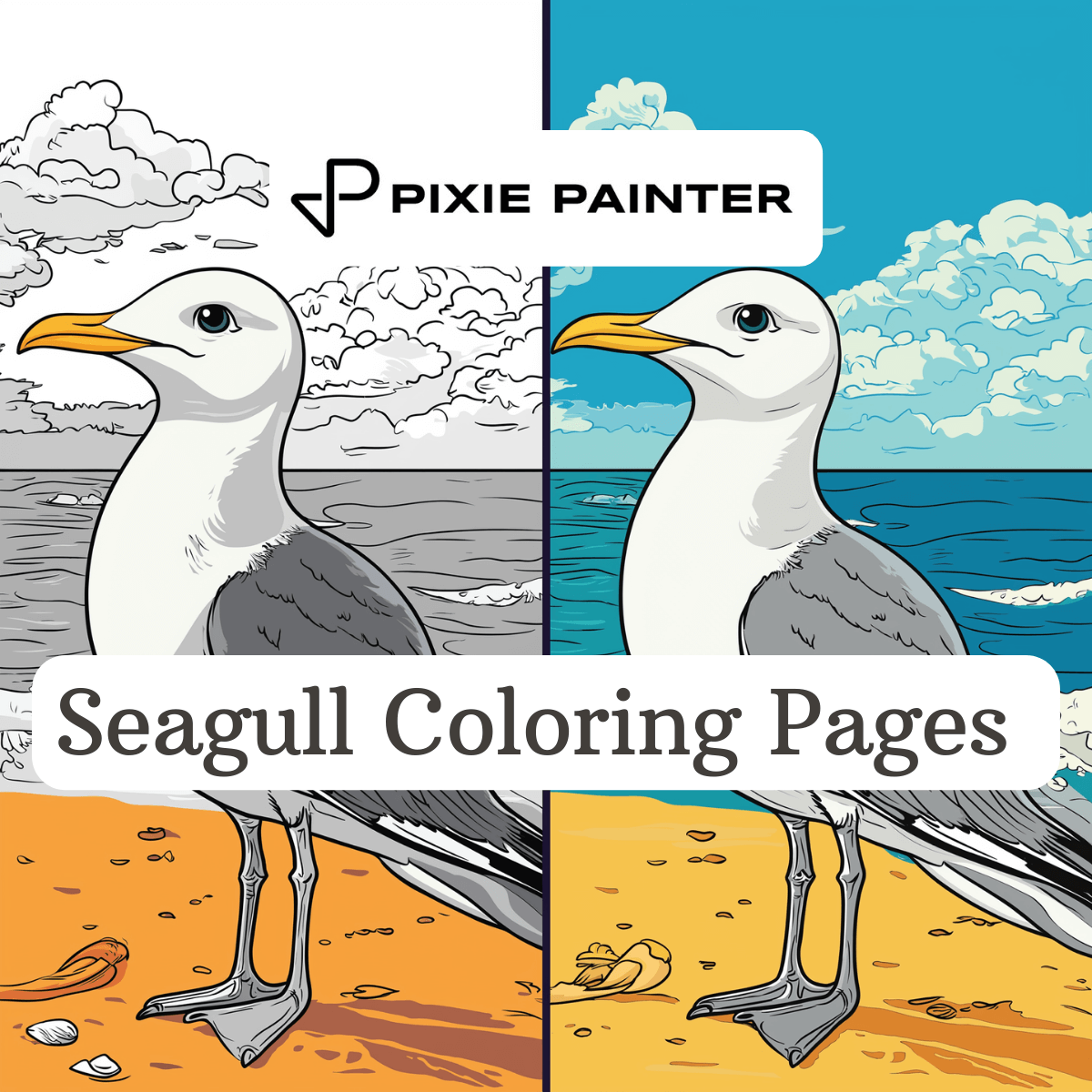 Seagull Coloring Pages