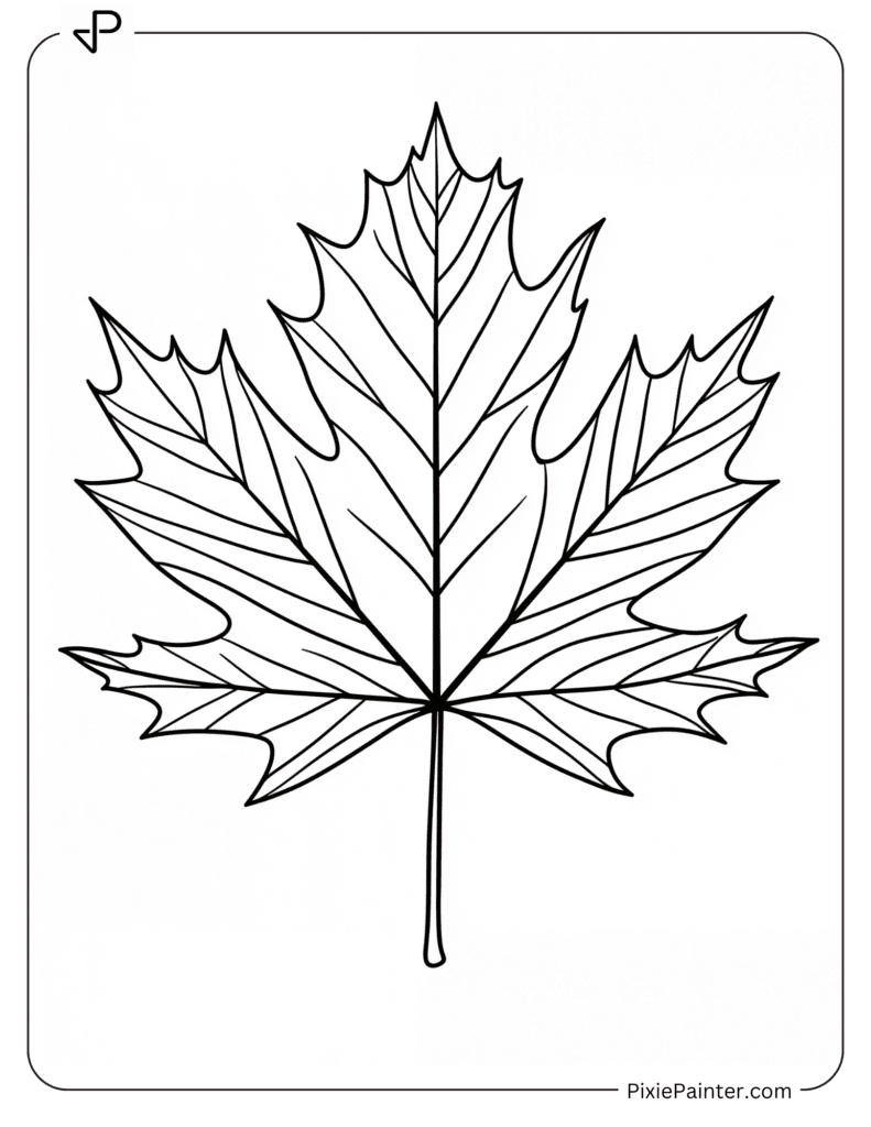 13. Detailed Maple Leaf Outline