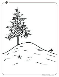 A tiny snow-covered hill with a single pine tree