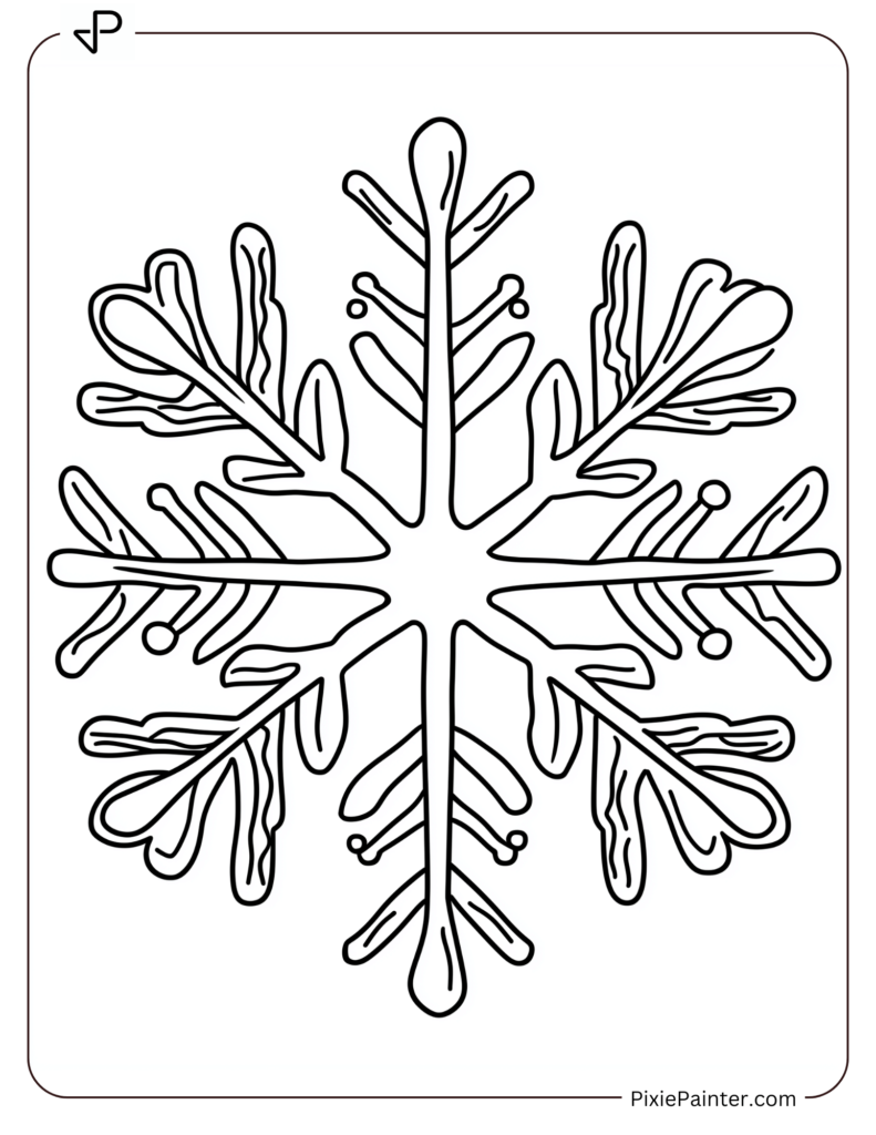 25. Prismatic Ice Snowflake