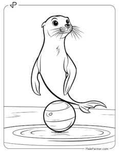 A sea lion balancing on a ball