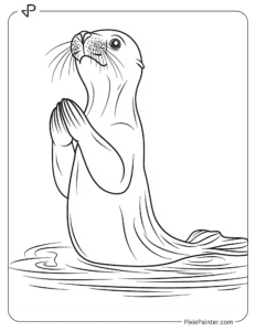 A sea lion clapping its flippers