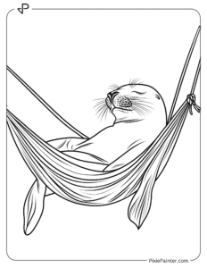 Sea lion on a hammock