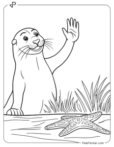 A sea lion waving at a starfish