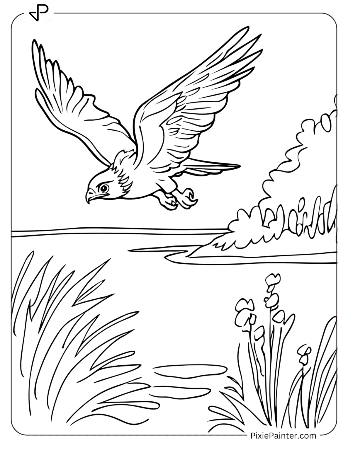 30 Hawk Coloring Pages [Free PDFs] - Pixie Painter