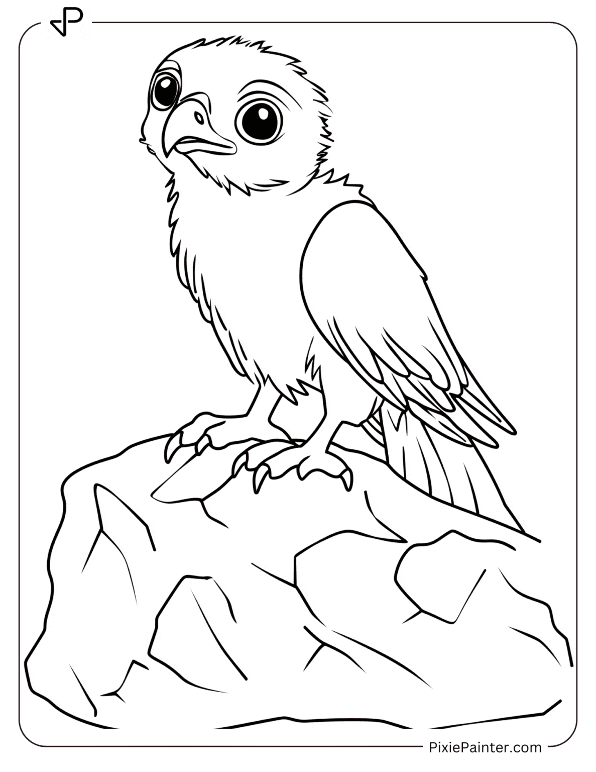 30 Hawk Coloring Pages [Free PDFs] - Pixie Painter