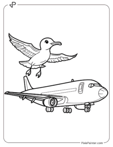 Seagull Flying Alongside an Airplane