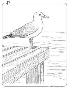 Seagull Perched on a Wooden Pier