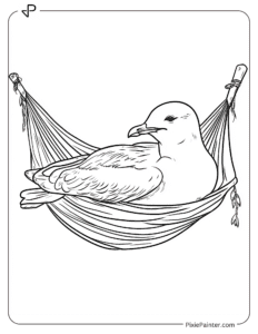 Seagull Resting on a Hammock