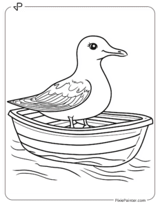 Seagull Sitting in a Small Boat