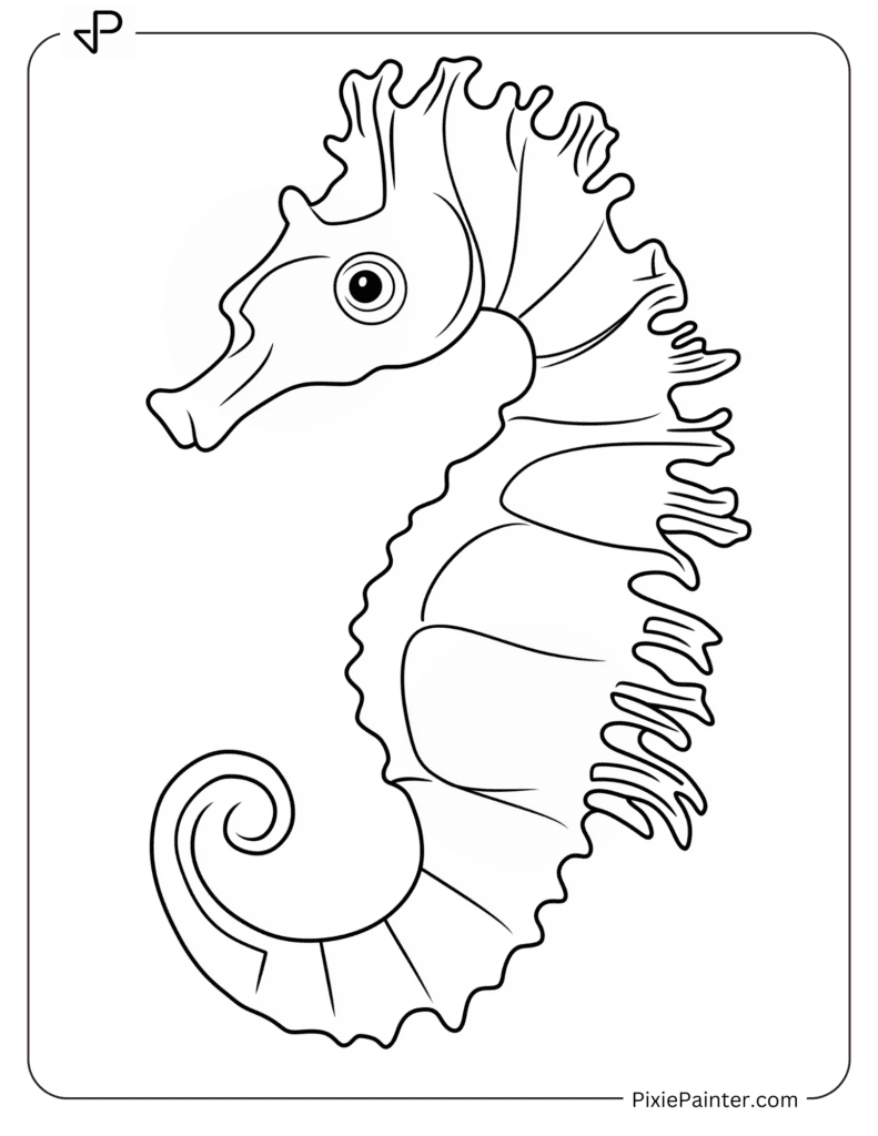 Seahorse with Coarse Fin