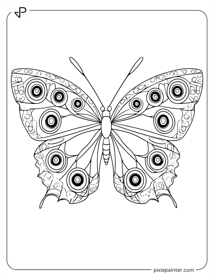 beautiful spotted butterfly illustration