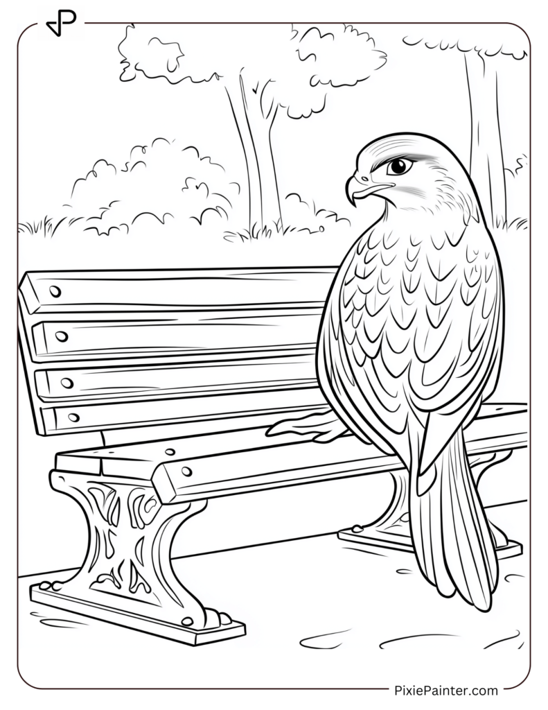 Falcon Resting On A Park Bench