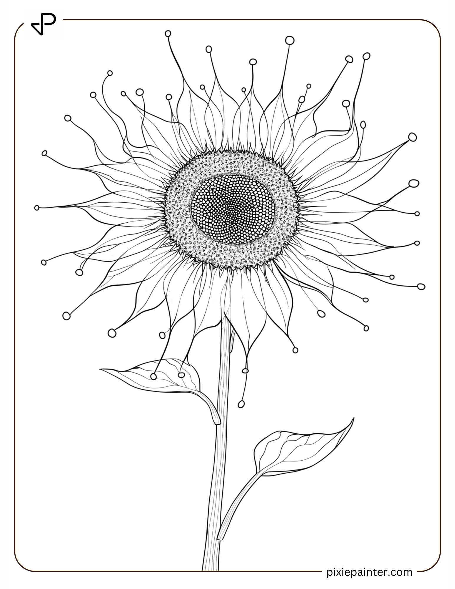 17. Simple March Sunflower Drawing