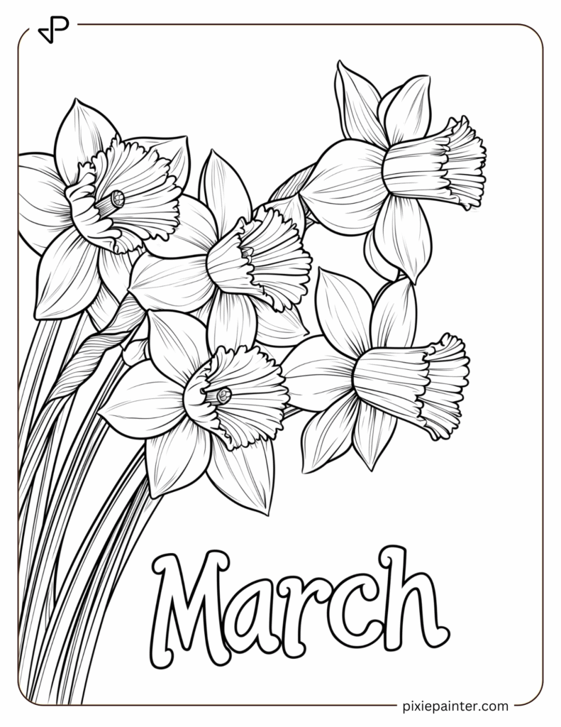 2. Blooming Daffodils for March -Coloring Pages